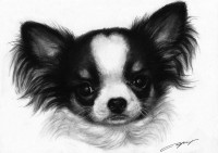 /album/danguole-serstinskaja-un-dibujo-de-tu-mascota-con-alma/imatge-emmarcar6-jpg/